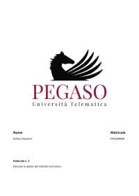 Elaborato 2 di idrologia 2024/2025 pegaso