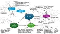 Mindmap zur USA das wichtigste