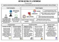 Es una importante de la historia de una enfermedad