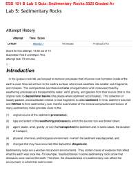 ESS 101 B Lab 5 Quiz: Sedimentary Rocks 2025 Graded A+