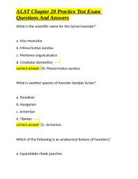Hamster Biology Practice Test: Questions and Answers
