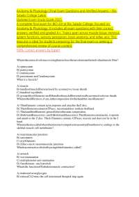 Anatomy & Physiology Final Exam Questions and Answers