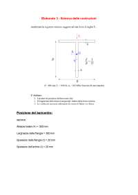 Elaborato 3 Scienza delle costruzioni