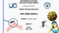 DIAPOSITIVAS-FIEBRE AMARILLA