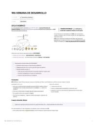 1 ra semana de desarrollo