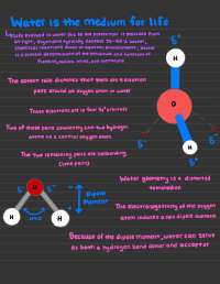 Water as a Solvent: Properties and Biological Significance