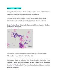 Exam BIOD 171/Microbiology Lab 9 Exam Portage Learning
