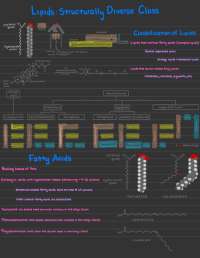 Lipids: Classification, Structure, and Fatty Acid Nomenclature