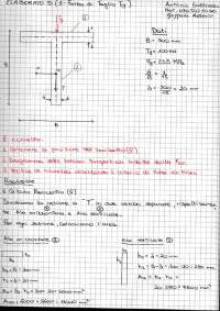 Elaborato Sezione a T con forza di taglio