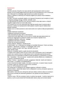 Storia dell'arte , preparazione alla maturità. programma di maturità dell'ultimo anno 2024