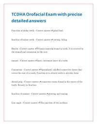 Orofacial Anatomy Exam: Detailed Q&A for Dental Students