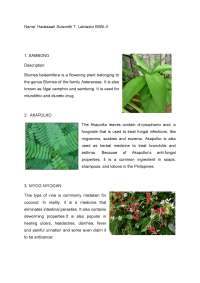 Medicinal Plants and Their Traditional Uses: A Comprehensive Guide