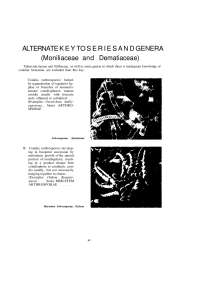 Morphology of common fungi in the soil, excellent for studying and understanding them with