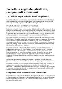 Riassunto, La Cellula Vegetale: Struttura e Funzioni della Parete Cellulare