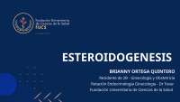Steroidogenesis: Adrenal Gland Development and Enzymatic Deficiencies