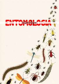 Entomologia - prof. Lidia Limonta