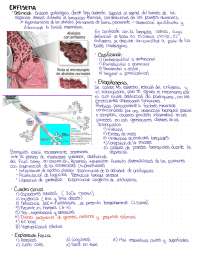Enfisema pulmonar resume