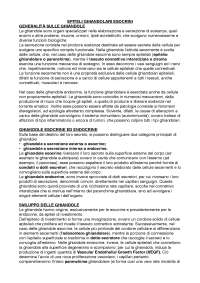 EPITELI GHIANDOLARI ENDOCRINI + ESOCRINI, capitoli 11-12 Monesi