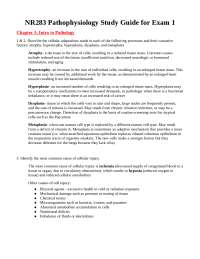 NR283 Pathophysiology Study Guide for Exam 1