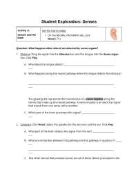 Biology Student Exploration: Gizmo Senses
