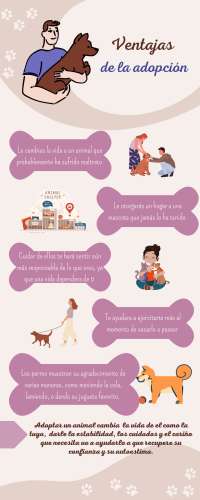 adopción the dogs and cats