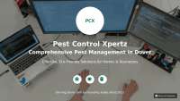 pest control in dover
