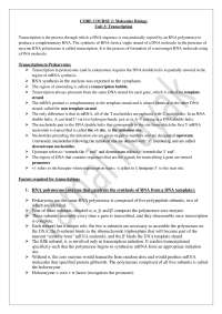 Transcription- a short approach for UG zoology students
