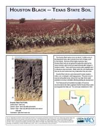 Texas State Soil PDF
