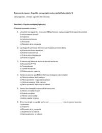 informacon de anatomia humana