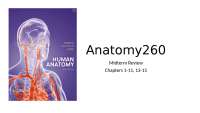ANAT260 Week 5 Lecture Midterm Review Chapter 1-11, 13-15 West Coast 2025