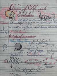 Old biology notes 2018