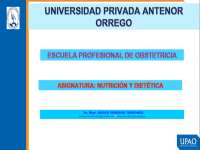 Alimentación y Nutrición en la Diabetes Gestacional – Guía Dietética para el Control