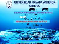 Nutrición en la Embarazada con Hiperémesis Gravídica – Manejo Dietético y Cuidados