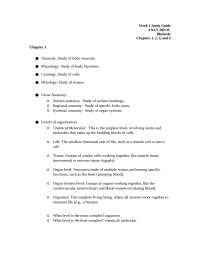 ANAT260 OL Week 1 Study Guide Chapter 1,2,3,4 West Coast 2025/2026