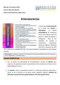 enterobacterias - desgrabe