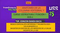 Yodo lo que tiene que ver la columna y médula espina