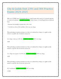 City & Guilds Unit 2391 and 304 Practice Exams 2024-2025