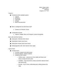 ANAT260L Week 2 Study Guide Chapter 5,6,7,8 West Coast 2025/2026