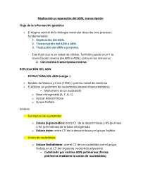 ADN Replicación y Traducción