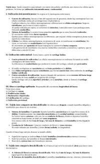 Histología linfoide, catolica