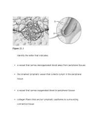 ANAT260 Lab Quiz Study Guide West Coast University