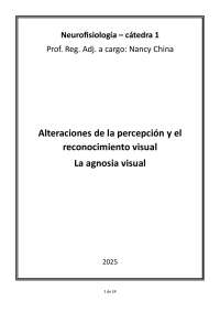 Alteraciones de la percepción y el reconocimiento visual La agnosia visual
