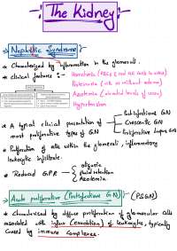 Nephritic syndrome (kidney pathology)