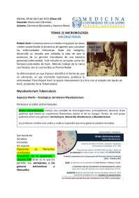 mycobacterium tuberculosis