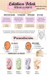 Estatica fetal y mecanismo de parto