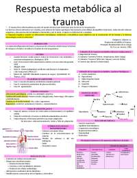 Respuesta del Org. ante el trauma