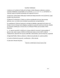 Garantías Individuales
