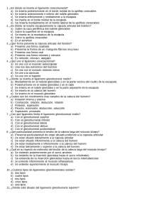 Examen de articulaciones de miembro superior