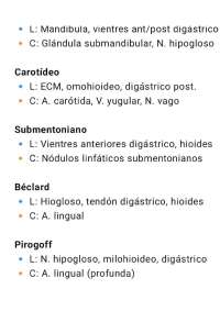 APUNTES DE ANATOMIA PARA EXAMEN