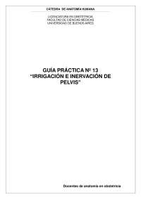 Documento para el estudio de la pelvis